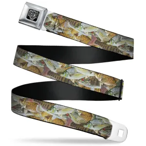 BD Wings Logo CLOSE-UP Full Color Black Silver Seatbelt Belt - Fishes Stacked Webbing
