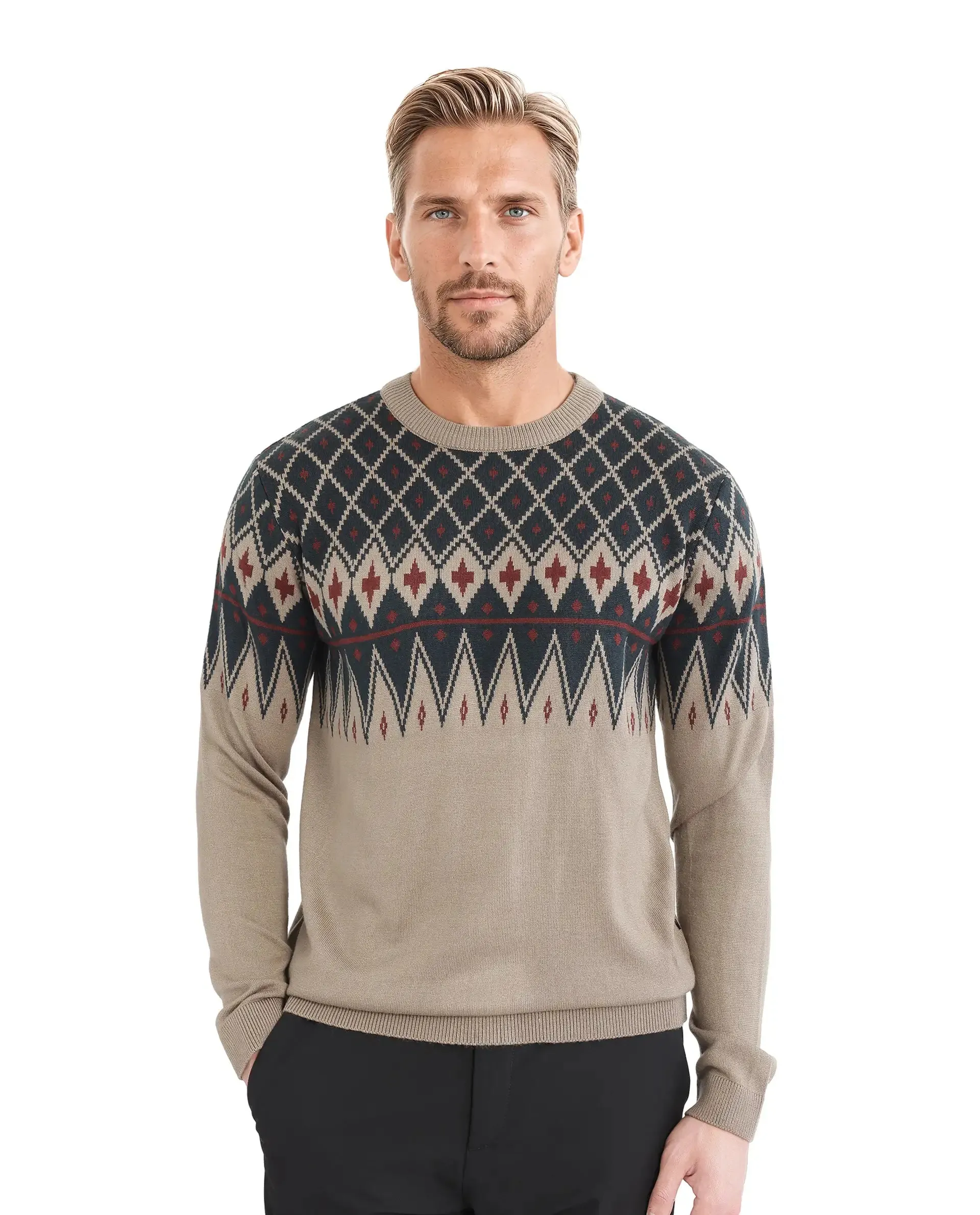Rare Rabbit Men's Kezeck Light Brown Full Sleeve Crew Neck Regular Fit Argyle Sweater