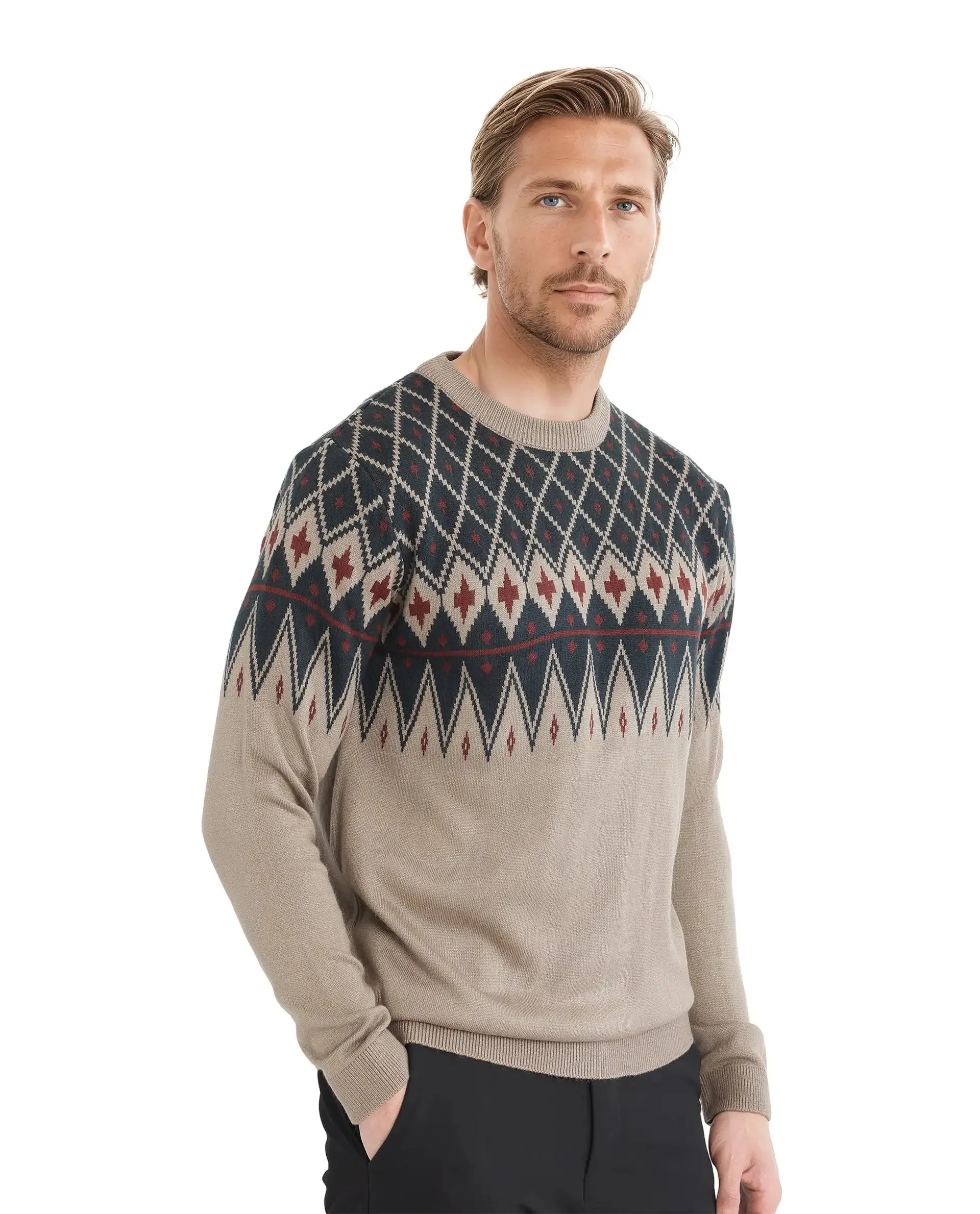 Rare Rabbit Men's Kezeck Light Brown Full Sleeve Crew Neck Regular Fit Argyle Sweater