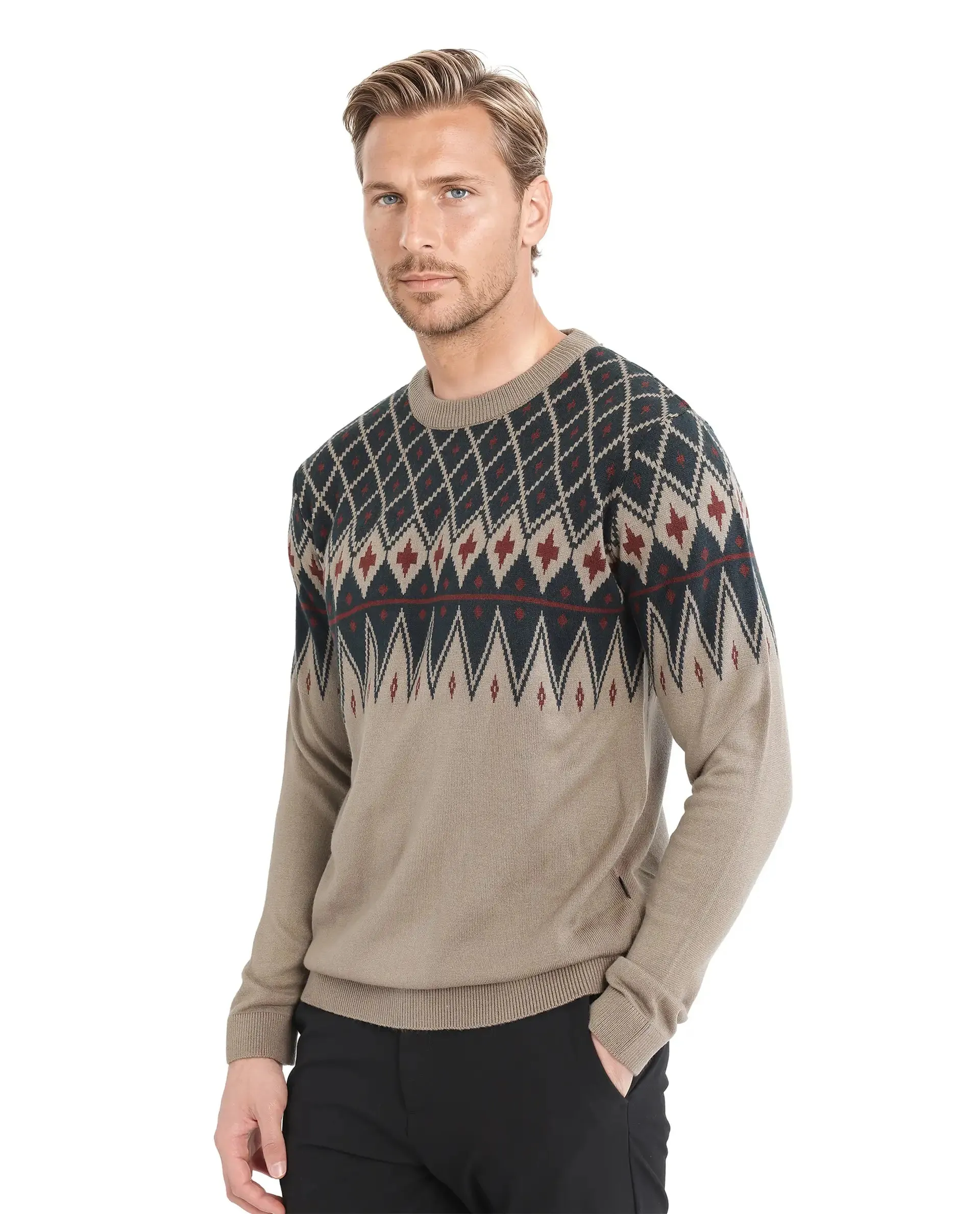 Rare Rabbit Men's Kezeck Light Brown Full Sleeve Crew Neck Regular Fit Argyle Sweater